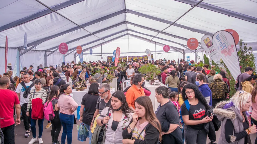 El viernes 18, s&aacute;bado 19 y domingo 20 de octubre, en la Plaza Buj&aacute;n, se realizar&aacute; la Fiesta del Plant&iacute;n Floral de Moreno.