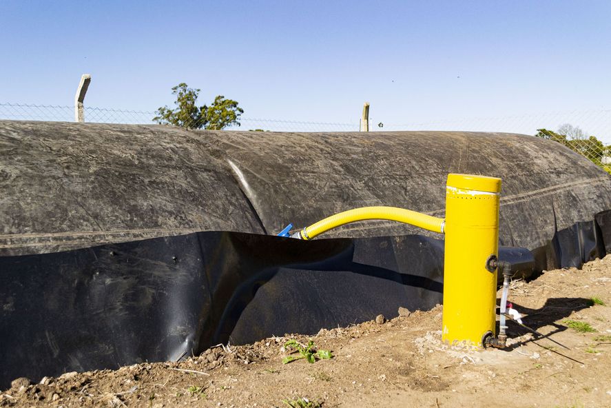 La historia de la planta de biogás que dará energía a un pueblo bonaerense  | Infocielo