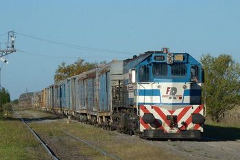 trenes de carga: el debate que se viene entre provincia y ferrosur