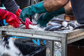 El Gobierno defendió la polémica reforma de la Ley de Pesca: Es un gran paso en libertades