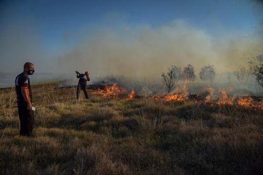 En Mar del Plata advierten un riesgo muy alto de incendios forestales.
