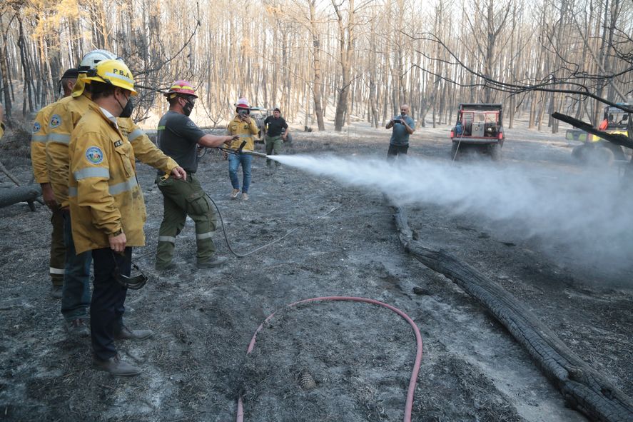 Las llamas consumieron 240 héctareas del vivero municipal de Miramar 