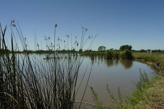 La laguna de Ranchos es uno de los principales atractivos de General Paz