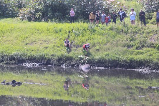 El insólito hallazgo del lunes revolucionó a los vecinos de La Plata. Rescatado por especialistas, el elefante marino ahora recibe cuidados mientras se define su futuro.