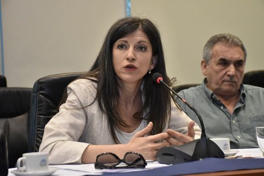 Fernanda Vallejos perdió las elecciones de 2017, aunque insiste en que es la dueña de los votos.