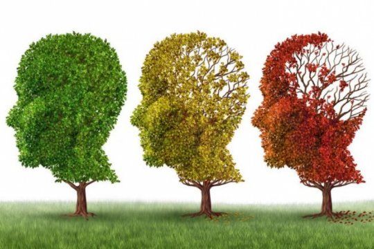dia del alzheimer: signos y factores de riesgo de una enfermedad que afecta a mas de 50 millones de personas