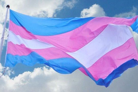 Una ley para promocionar el acceso al empleo formal de personas travesti-trans. 