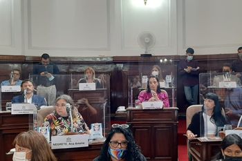 El Frente de Todos llevó la problemática de Los Hornos al concejo de La Plata