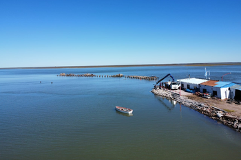 Bahía Blanca es uno de los destinos recomendados para ir a pescar durante este verano.