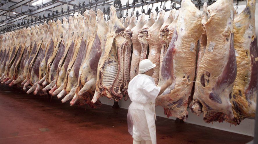 El Gobierno liberó sólo el 50% de las exportaciones de carne. Desde CARBAP cuestionaron la medida.