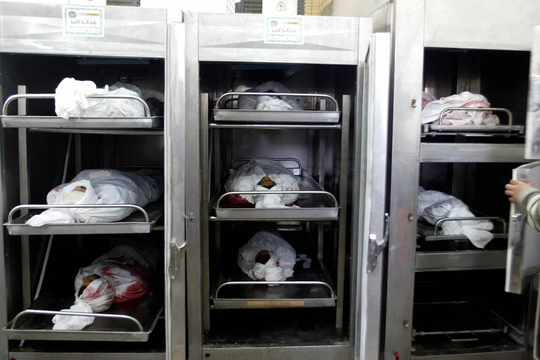 escandalo en la morgue policial de la plata: por que apartaron a la jefa y a un subordinado