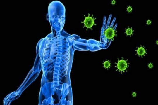 claves para reforzar el sistema inmune en tiempos de covid-19