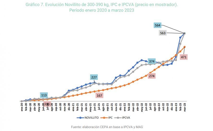 La evolución del precio del novillito en mostrador en el periodo 2020-2023 en comparación con la inflación y el Instituto de la Promoción de la Carne Vacuna Argentina.