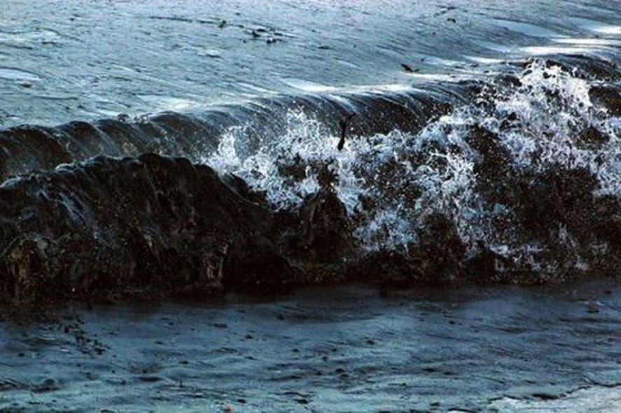 ¿Cómo sería un derrame de petróleo en las costas de Mar del Plata?