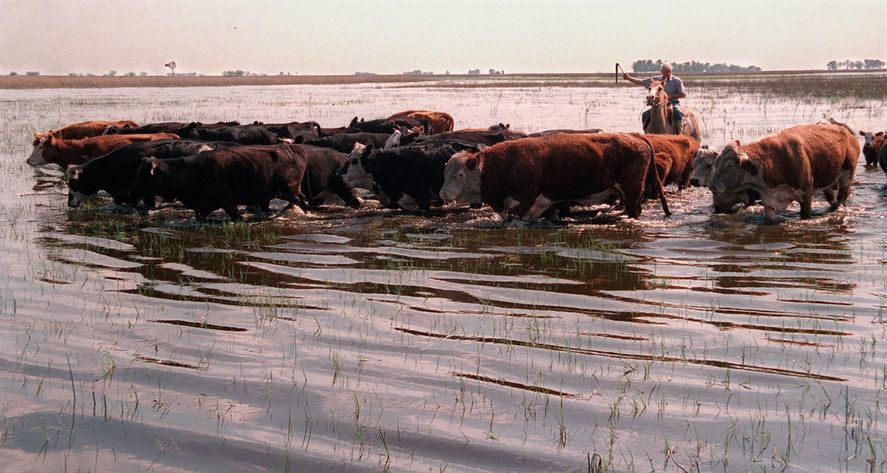 El campo sufrió la sequía durante todo el verano, y en la primavera 2023 podría sufrir inundaciones por el fenómeno 