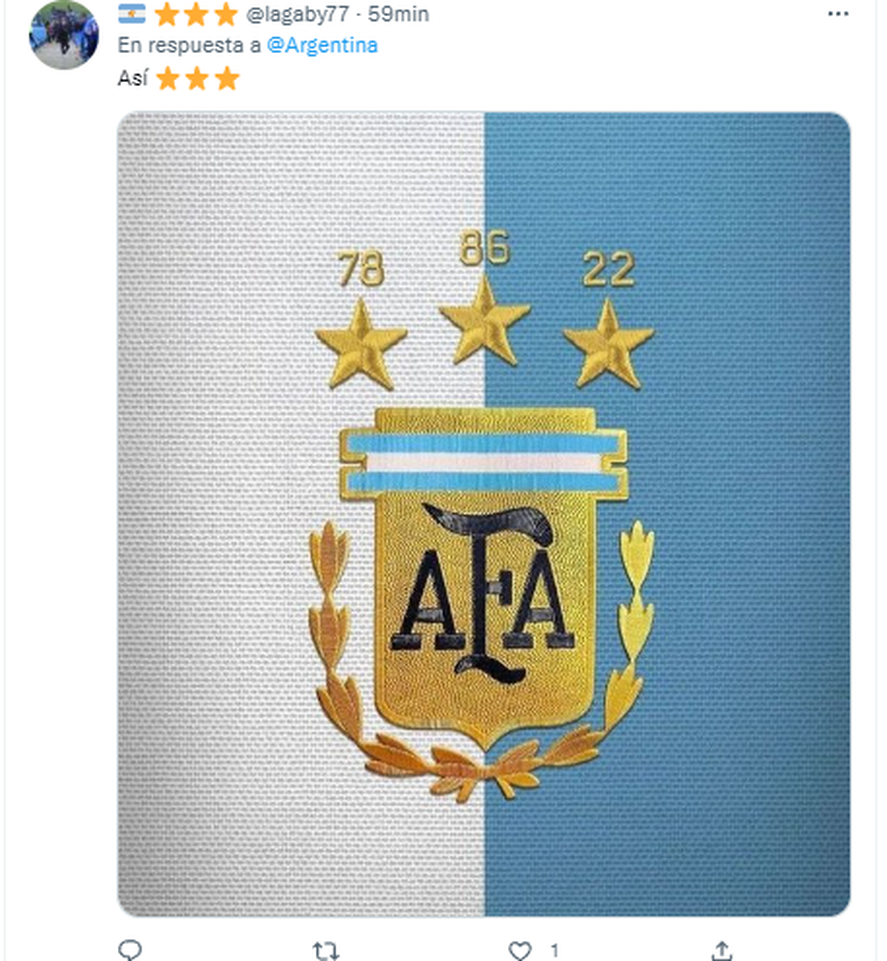 Argentina Campeón Así Es El Nuevo Escudo De La Selección Cielosport