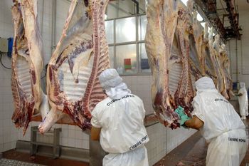 Trabajadores de la carne realizan un paro de 24 horas
