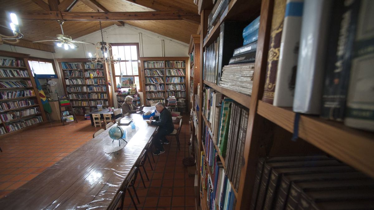 Día Nacional Del Bibliotecario: Por Qué Se Celebra El 13 De Septiembre ...