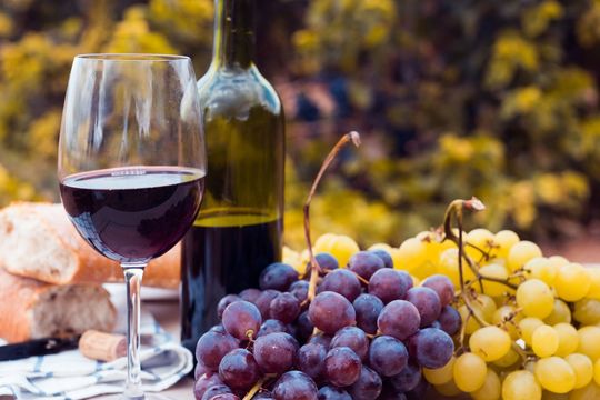 La Provincia se posiciona como productora vitivinícola.