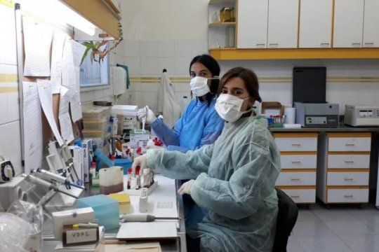 coronavirus: ya hay 13 laboratorios en la provincia de buenos aires que realizan testeos
