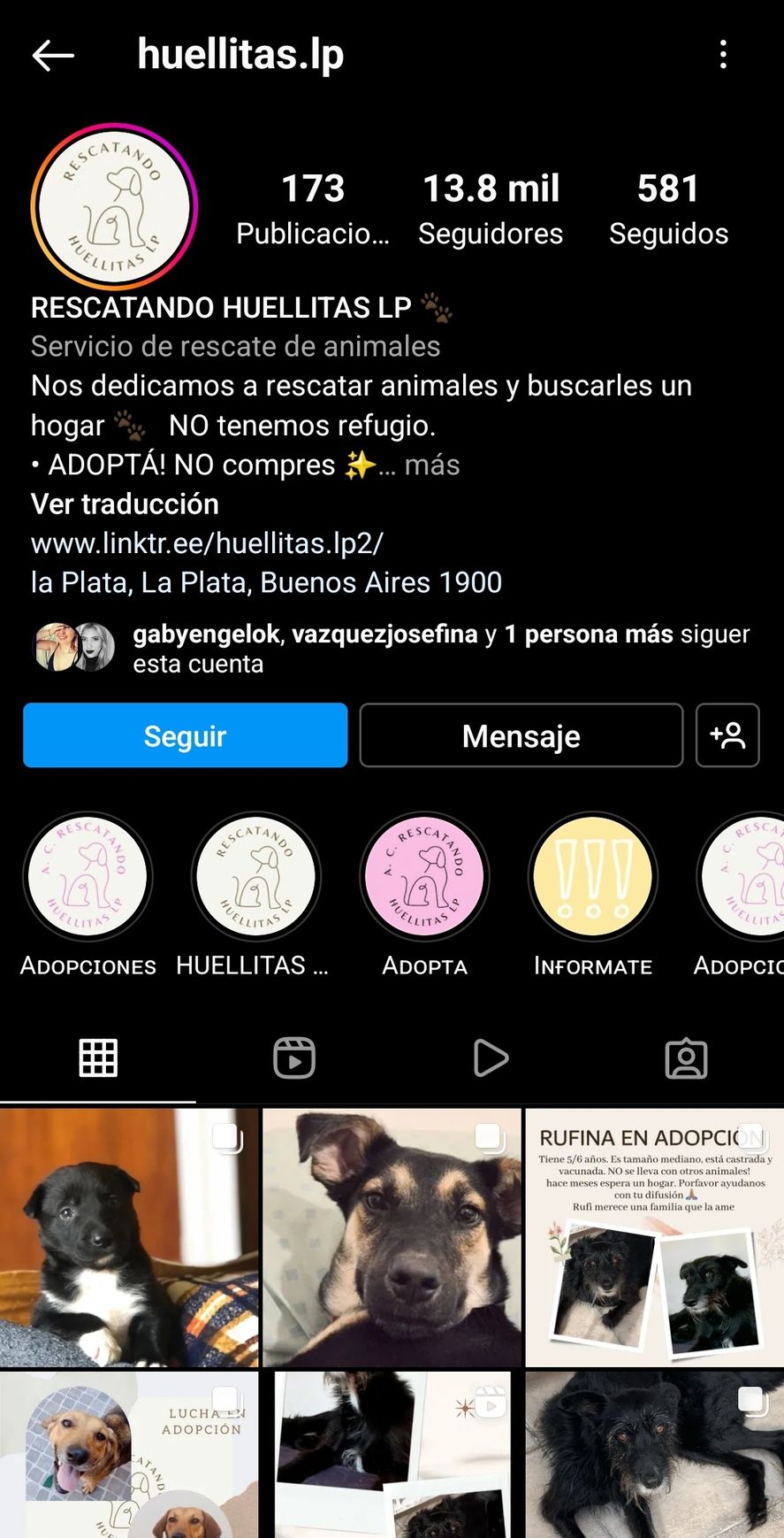 El Instagram del refugio para perros acusado de discriminación hacia los habitantes del populoso barrio de Villa Elvira 