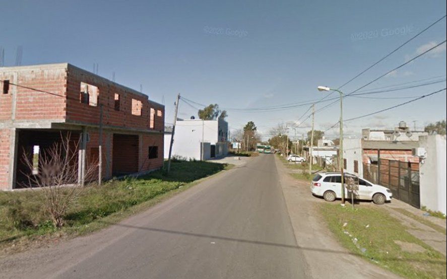 La Plata: dos pitbulls mataron a mordeduras a un presunto delincuente en el patio de una casa