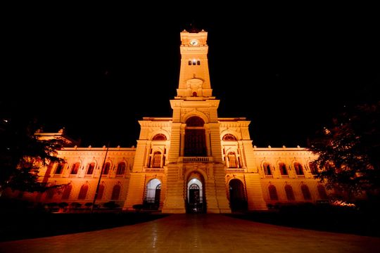 Por qué el Palacio Municipal de La Plata estuvo iluminado de naranja.