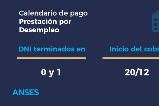 Jubilaciones y pensiones, asignaciones universales, desempleo. Conocé el calendario de pagos de ANSES para hoy, viernes 20 de diciembre.