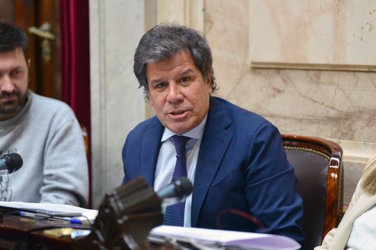 Facundo Manes, uno de los diputados de la provincia de Buenos Aires que votó en contra del veto de Javier Milei.