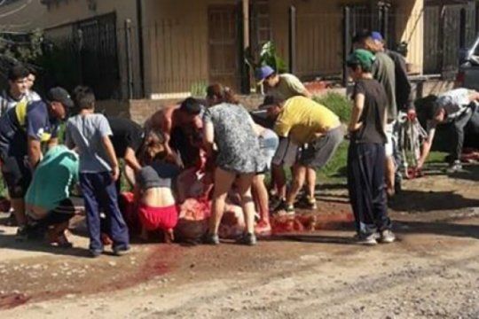 volco un camion con ganado en escobar y los vecinos carnearon a una vaca en plena calle