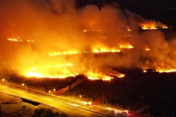 Un impresionante incendio forestal castigó a Campana, en el norte bonaerense