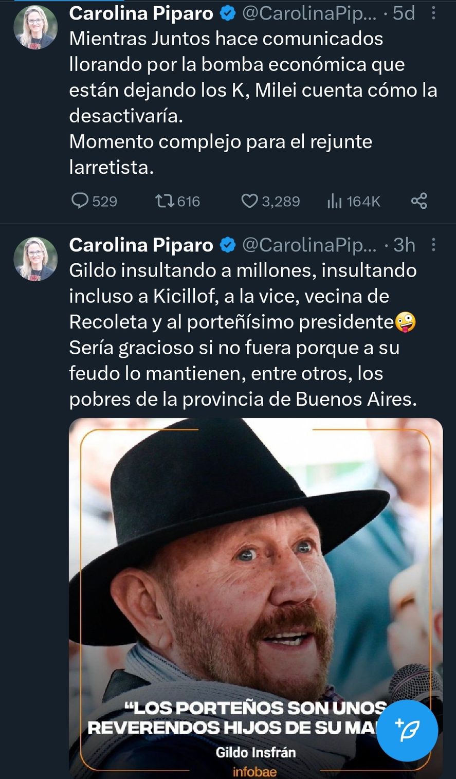 Carolina Píparo siempre se muestra muy activa en redes sociales atacando a Juntos por el Cambio y al peronismo por igual. Ahora va por Julio Garro para disputar la intendencia de la ciudad de La Plata 