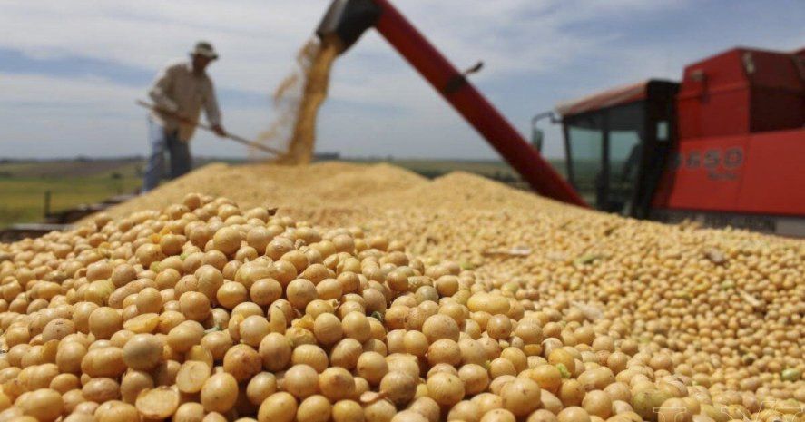 Transportistas de granos nucleados en FETRA anunciaron un paro nacional
