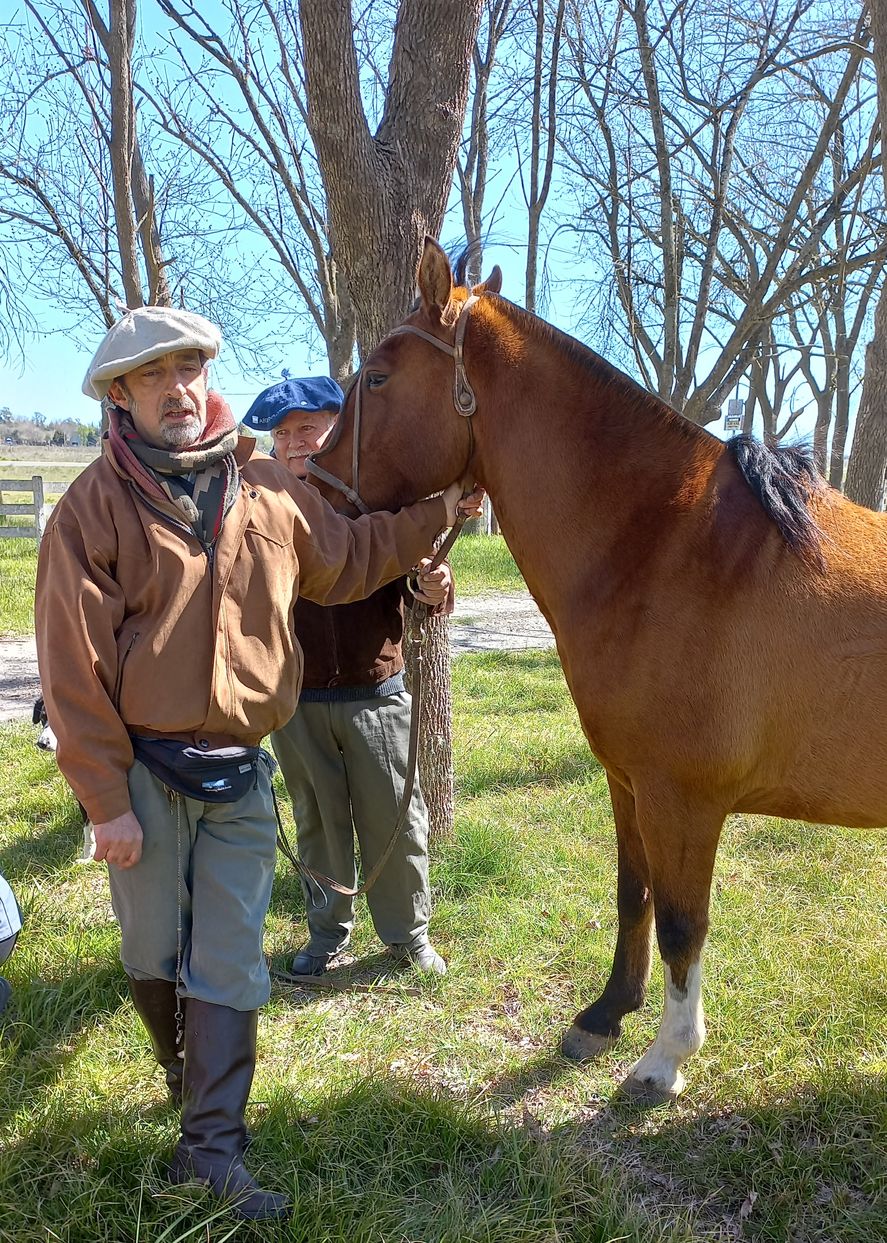 José Ibargoyen y Aníbal Zunino son dos médicos veterinarios que se propusieron una enorme hazaña: viajar desde la localidad de Vieytes, partido de Magdalena, hasta Lago Puelo, provincia de Chubut, a caballo.