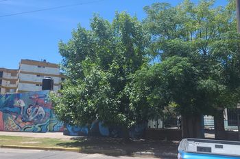 El nene fue aprehendido en el colegio de 3 y 421 de La Plata