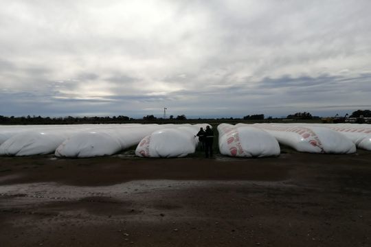 AFIP incautó casi 7 mil toneladas de granos sin declarar