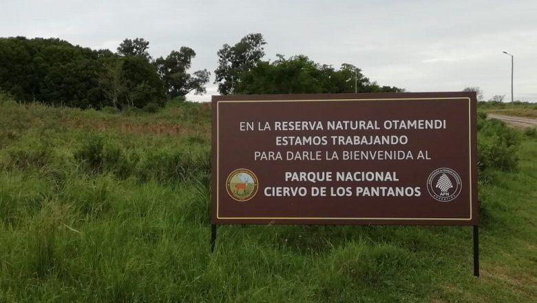 El segundo en la Provincia: se oficializó la creación de Parque Nacional Ciervo de los Pantanos