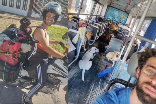 Matias carril, el joven educador canino que tiene un transporte de perros y recorre el país con Ambar en moto.