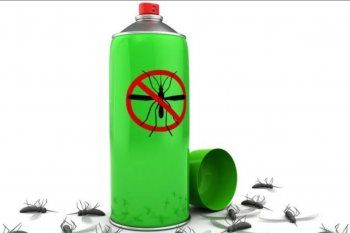 ¿Cuál es el repelente de insectos ideal para combatir la invasión de mosquitos? 