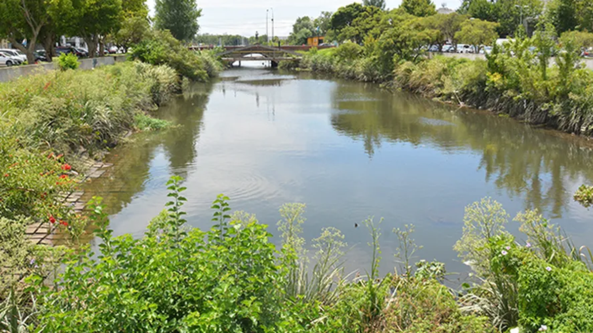 Berisso se suma al Walking Rivers: qué es y por qué se hace en todo el  mundo | Infocielo