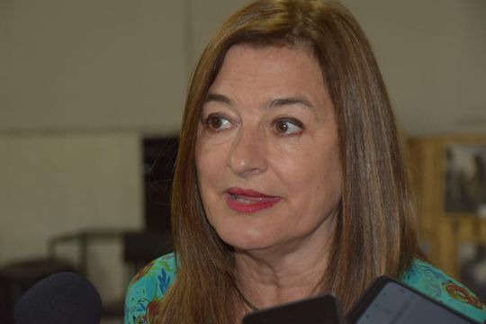 La ministra de Mujeres, Estela Díaz, habló sobre las denuncias por abuso en la Bonaerense: “Hay una cantidad muy grande, casi el 3% de los sumarios”
