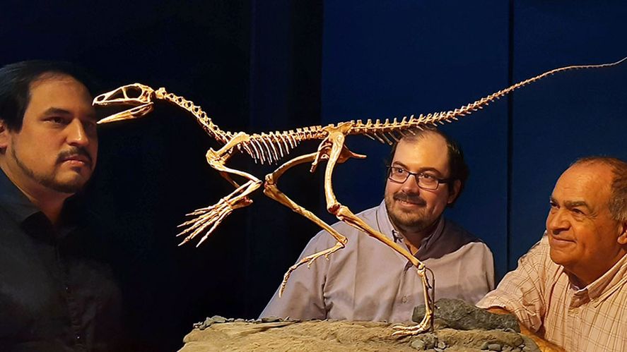 Dos investigadores del CONICET develaron un enigma de la paleontología