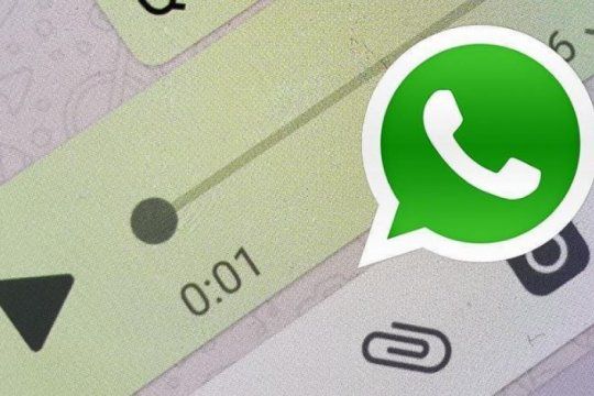 enterate como hacer para que whatsapp no colapse la memoria de tu telefono