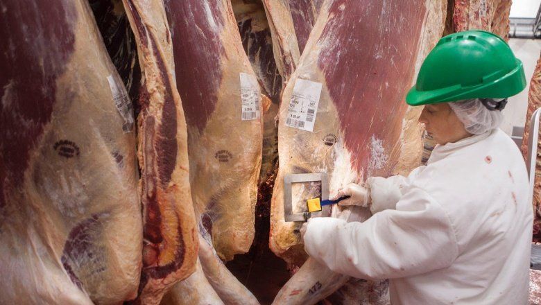 “No hay plata”: Se desplomó 18,5 % el consumo de carne vacuna en marzo