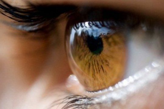 cientificas platenses realizaron un estudio sobre el color de ojos que puede trazar el perfil de un sospechoso