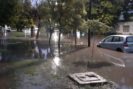 En la tarde del martes, el temporal ocasionó que zonas de La Plata vuelvan a inundarse 