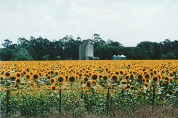 La Provincia busca potenciar las tecnologías agrícolas y prepara una incubadora