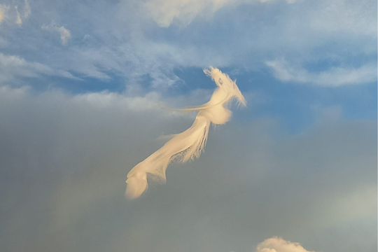 Vecinos fotografiaron la misma formación de nubes desde distintos ángulos (Foto: Facebook Federico Urban)