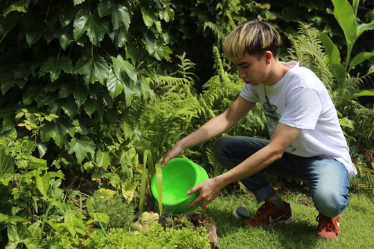 9 claves para realizar un buen descacharrado y prevenir el dengue.