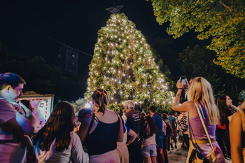 Todos los planes de diciembre en Mar del Plata.